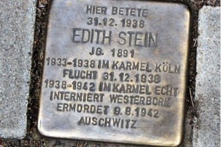 stein