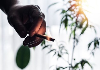 cannabis-joint-in-hand-2022-11-15-11-10-36-utc