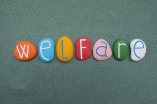 welfare-government-support-for-individuals-creat-2022-11-07-22-07-05-utc