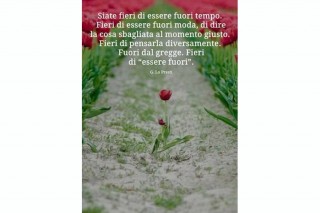 33072716_2068501140034465_7597271489871609856_n