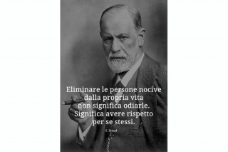 33052101_2068019740082605_7993580788132085760_n