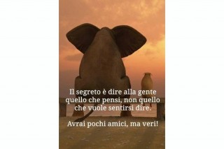 33422541_2069764249908154_5366113920371130368_n