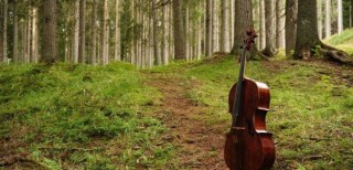 Screenshot_20190405-064622_Facebook